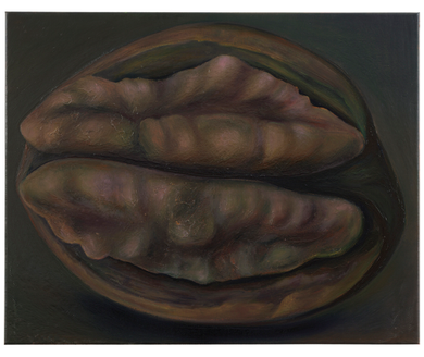 walnut walnut
